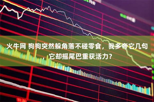 火牛网 狗狗突然躲角落不碰零食，我多夸它几句，它却摇尾巴重获活力？