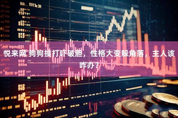 悦来网 狗狗挨打吓破胆，性格大变躲角落，主人该咋办？