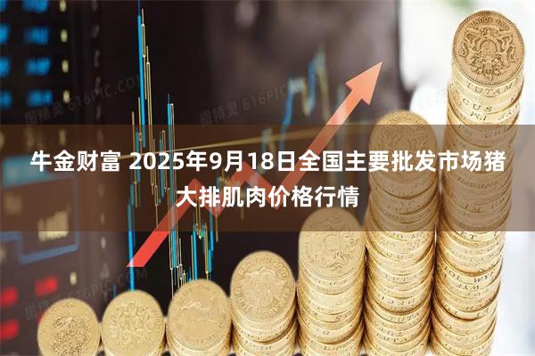 牛金财富 2025年9月18日全国主要批发市场猪大排肌肉价格行情