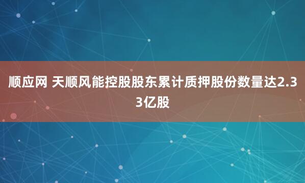 顺应网 天顺风能控股股东累计质押股份数量达2.33亿股