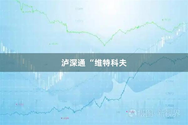 泸深通 “维特科夫