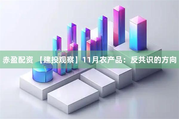赤盈配资 【建投观察】11月农产品：反共识的方向